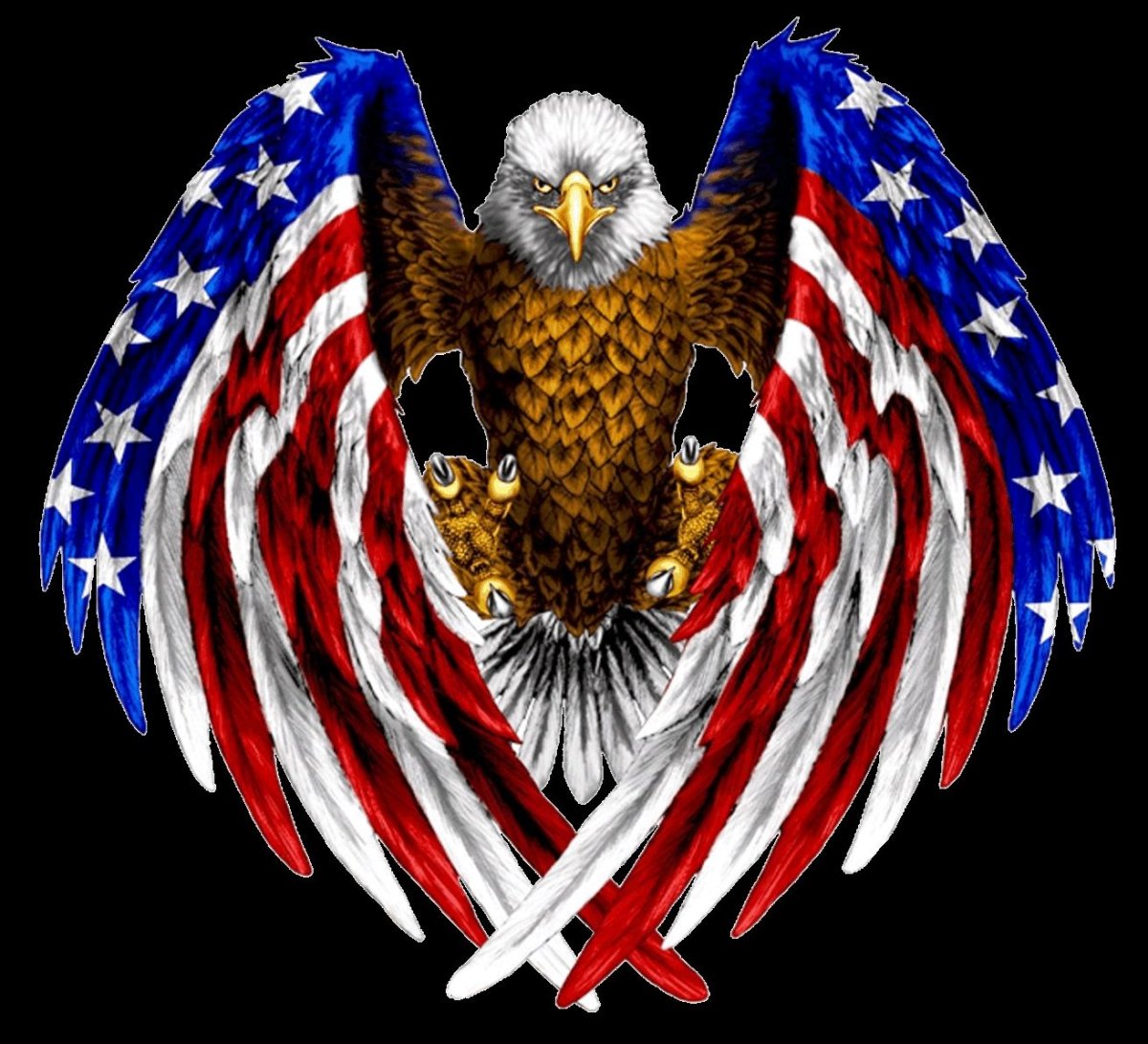 Лана дель Рей флаг США