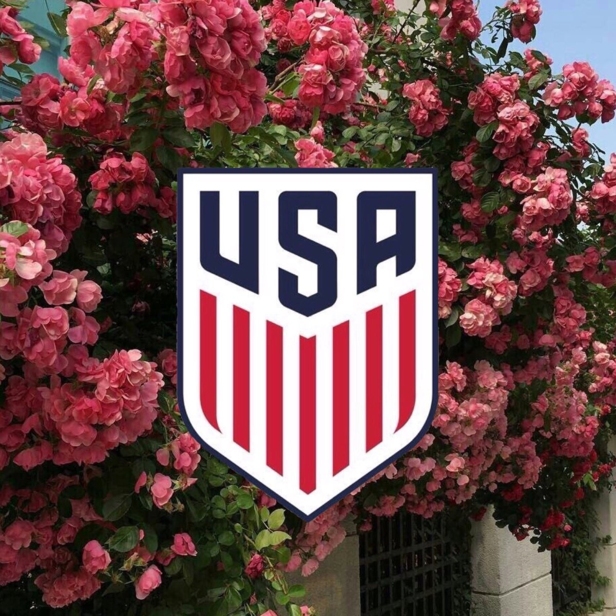 Dallas Cowboys девушки в джерси