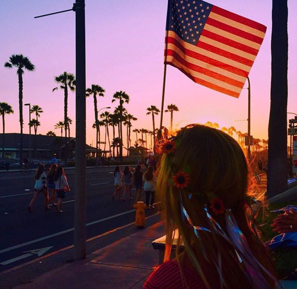 Символ Америки белоголовый Орлан