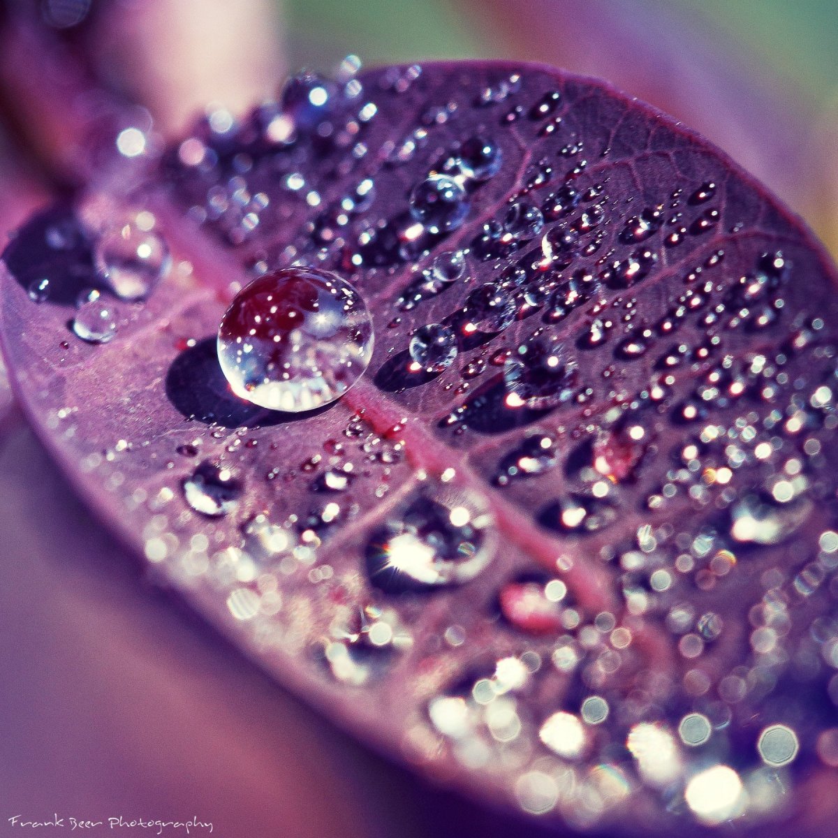 Девушка с зонтиком со спины