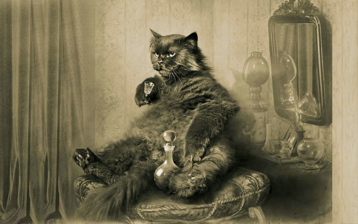 Мастер и Маргарита сериал 2005 кот