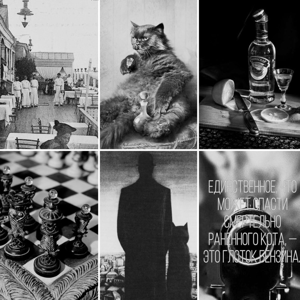 Кот Бегемот мастер и Маргарита цитаты