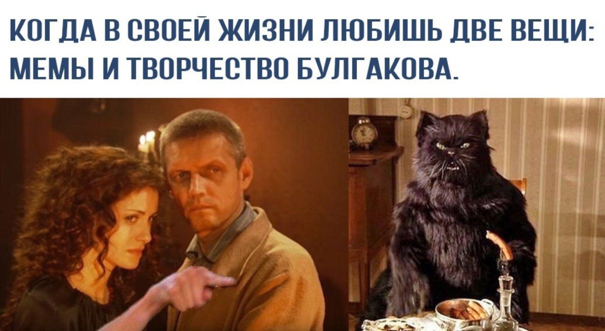 Черный кот в короне