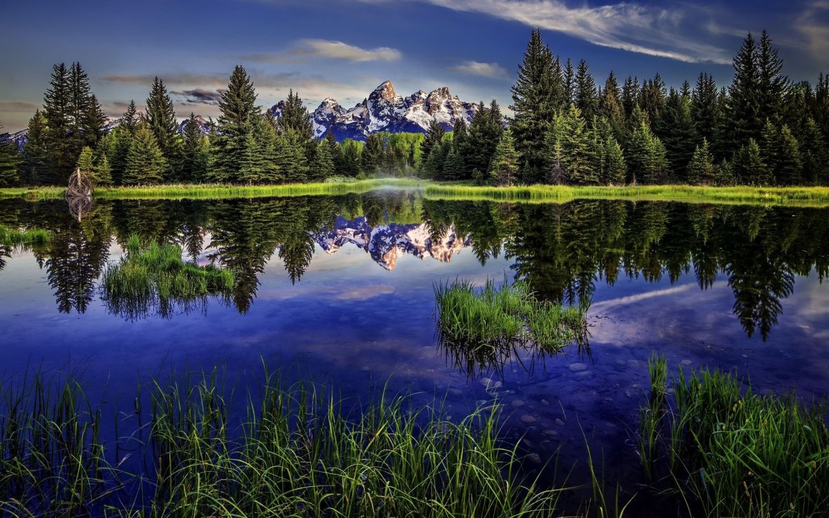 Шикарная природа