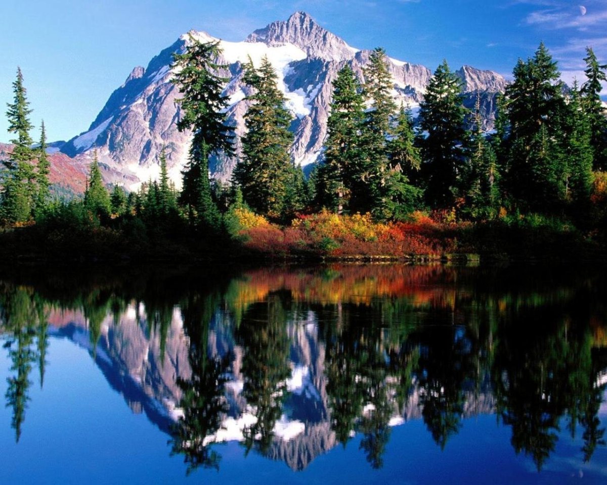 Красивое фото на аву природа