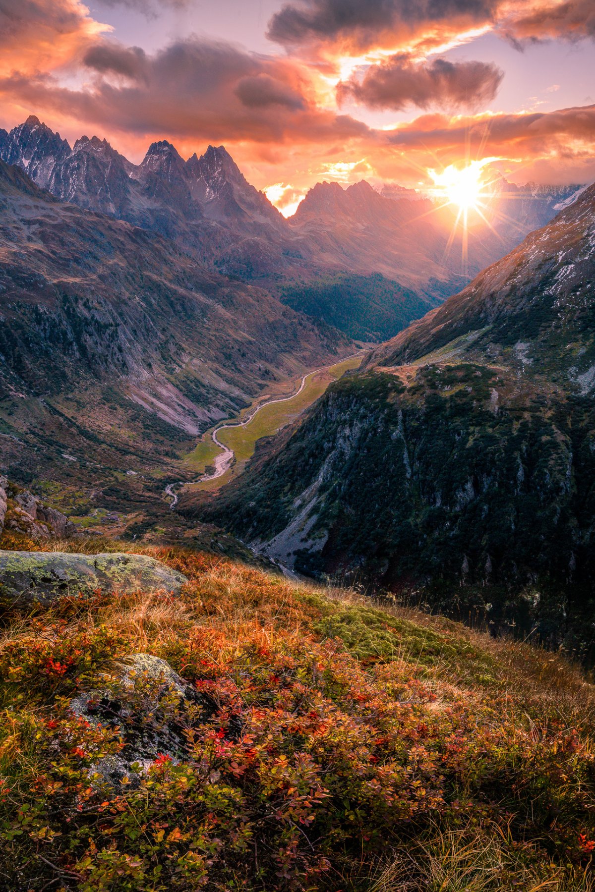 Гармония природы