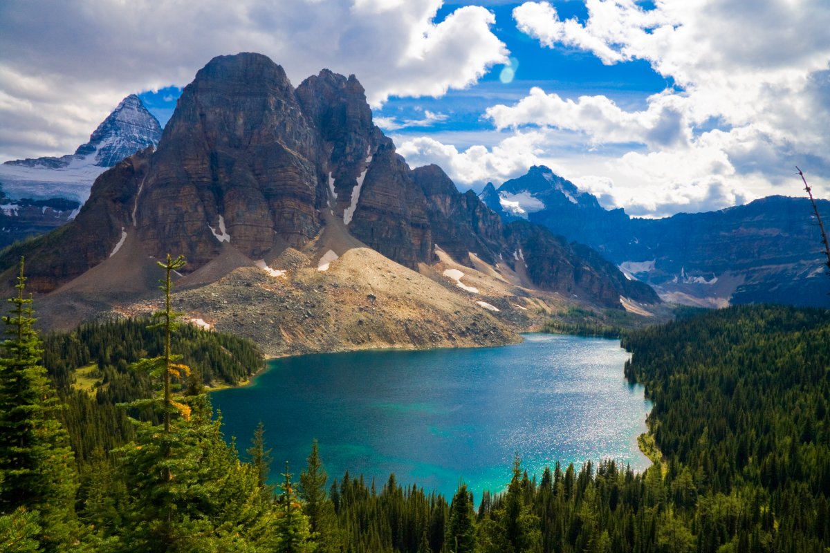 Квадратная природа