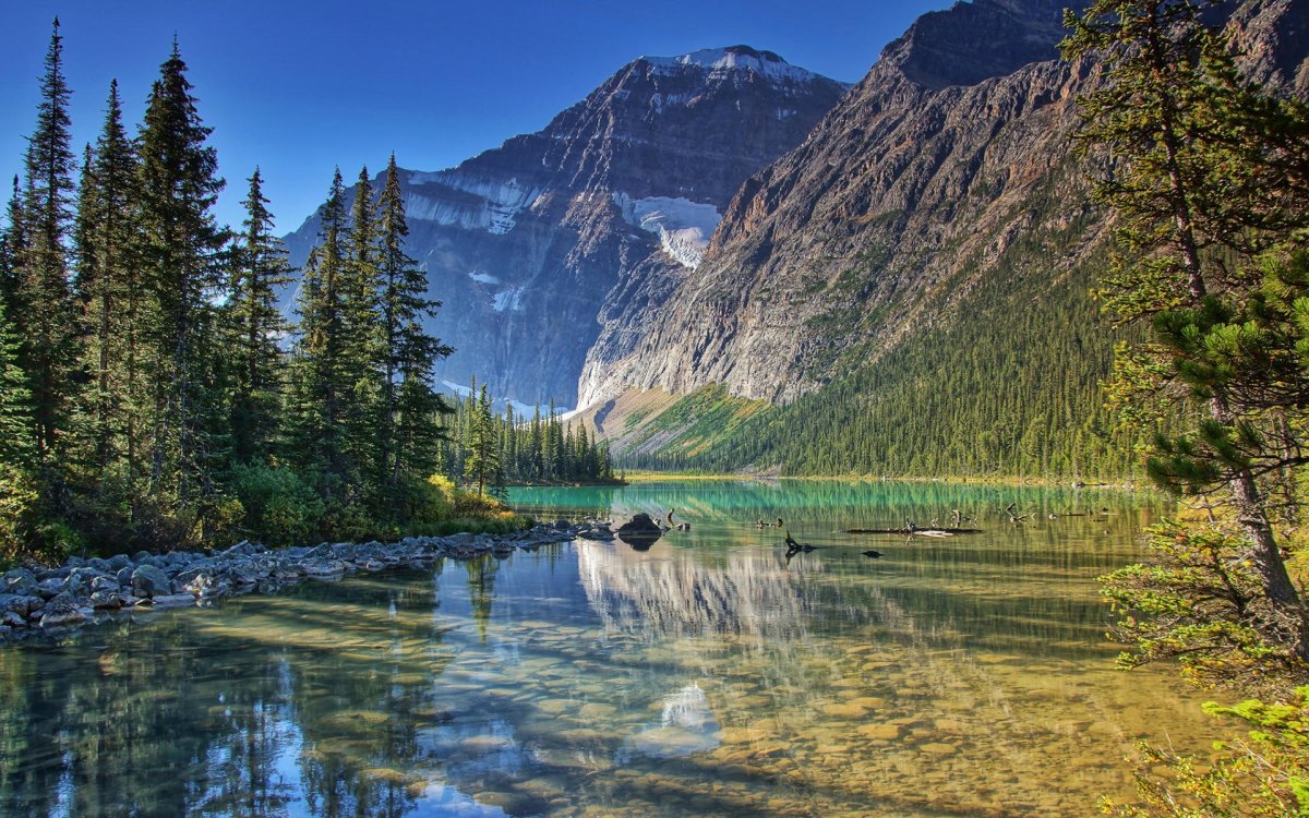 Красивая природа