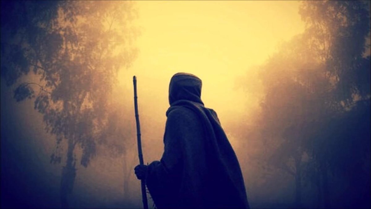 Странник в тумане