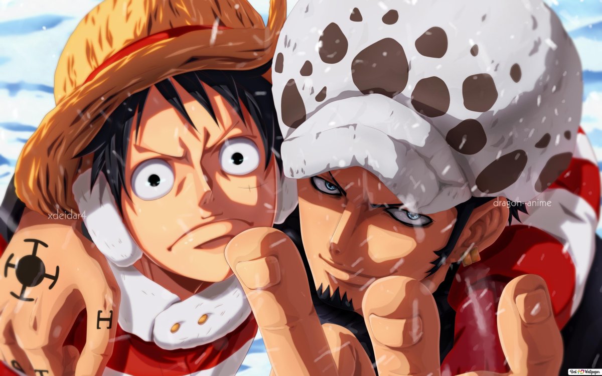 Трафальгар и Луффи