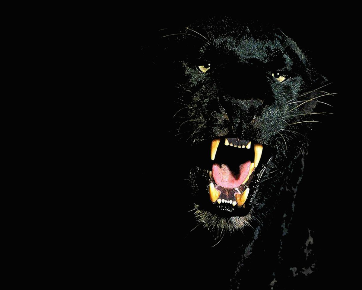 Наиля Егорова Нижнекамск