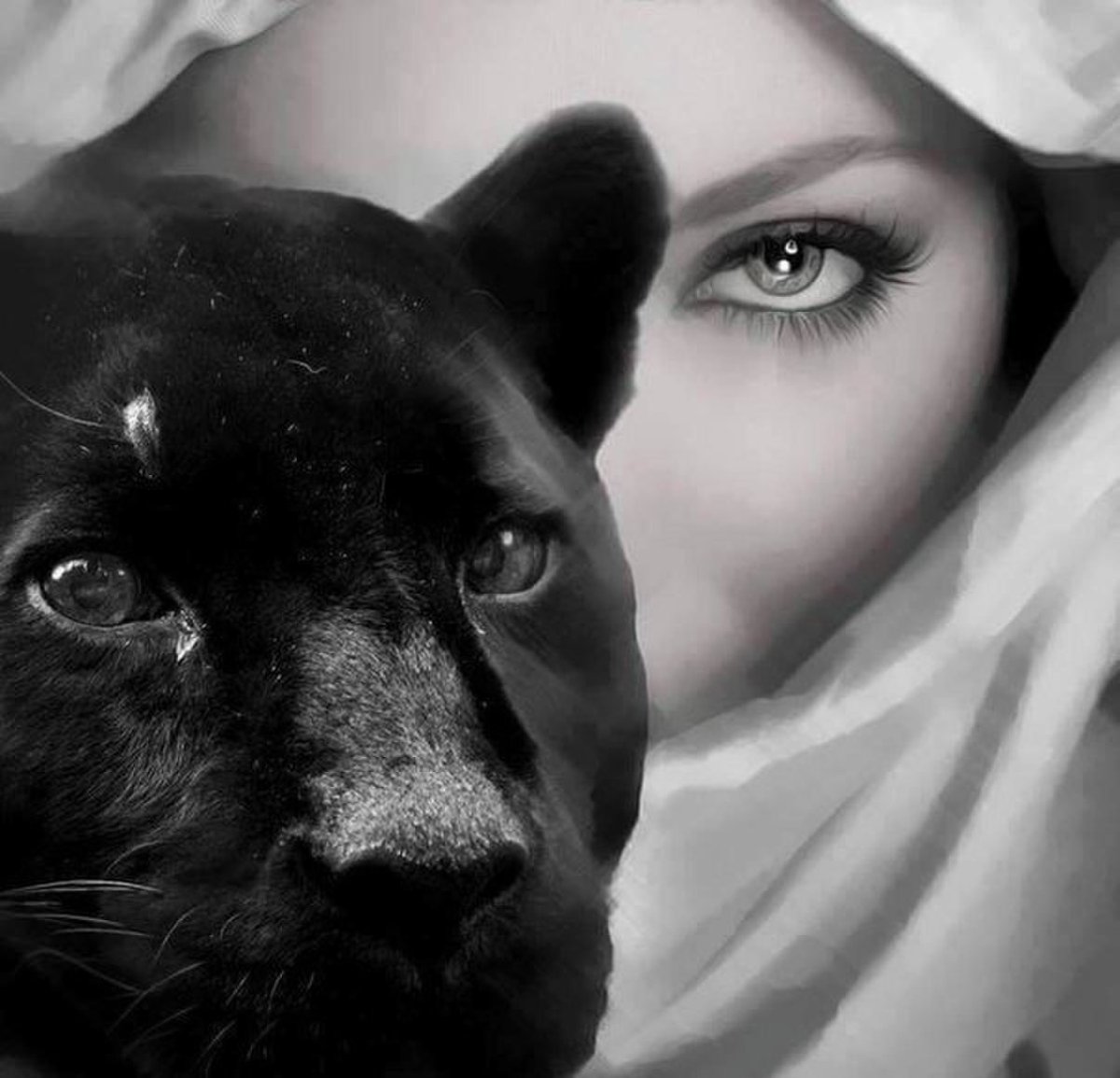 Девушка пантера