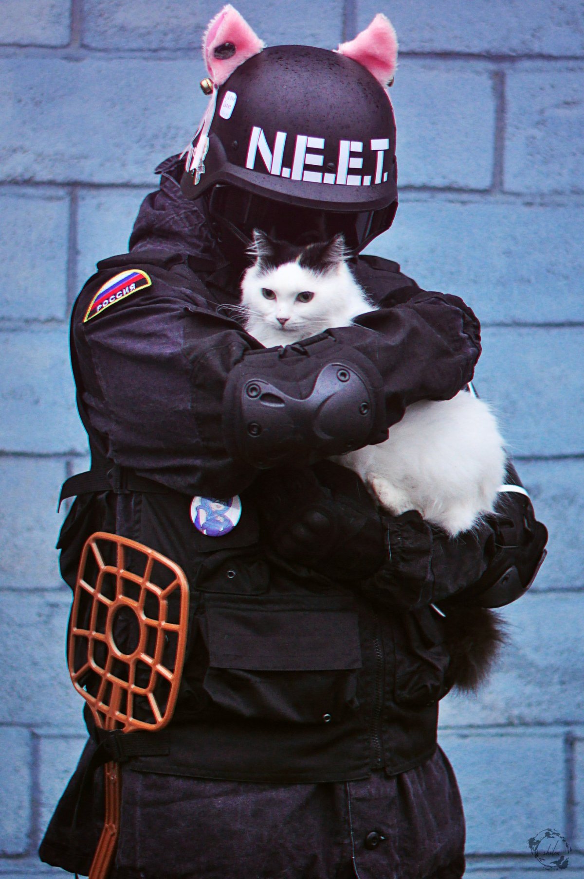 Кот с сигарой