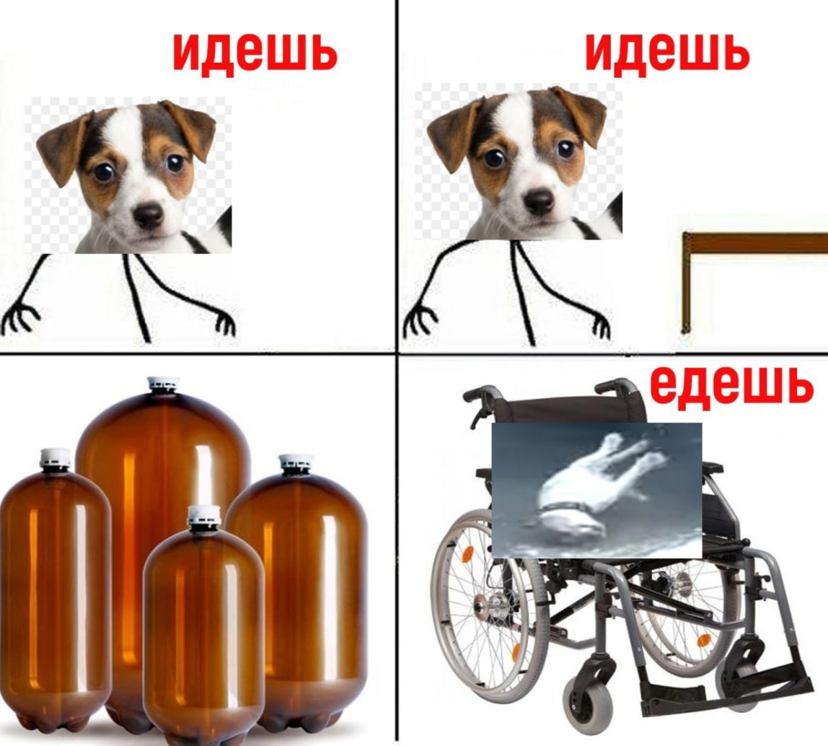 Собака с кегой