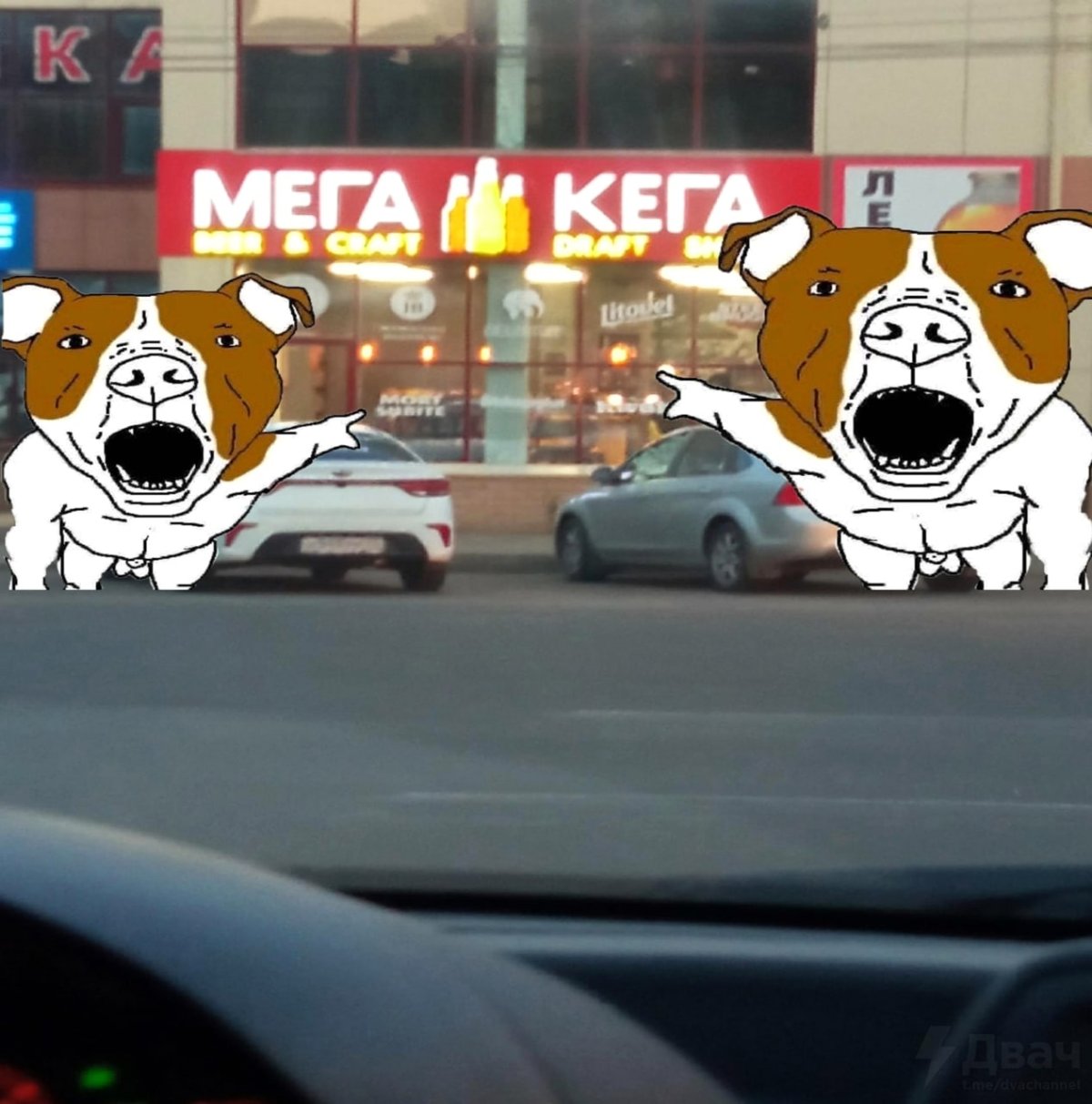 Собака с кегой