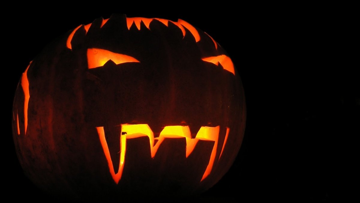 Енот с тыквой