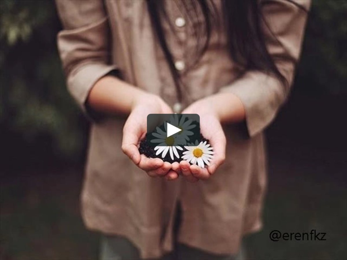 Ромашка на ладони девушки