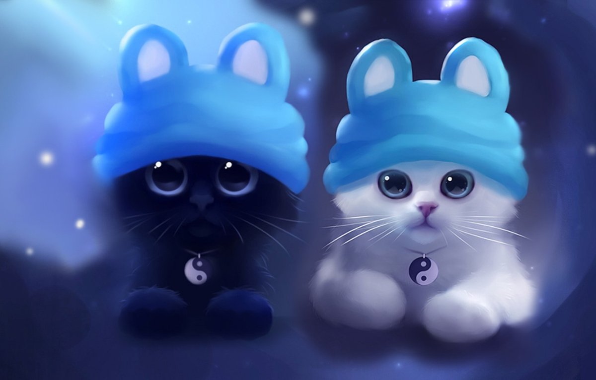 Кот в наушниках