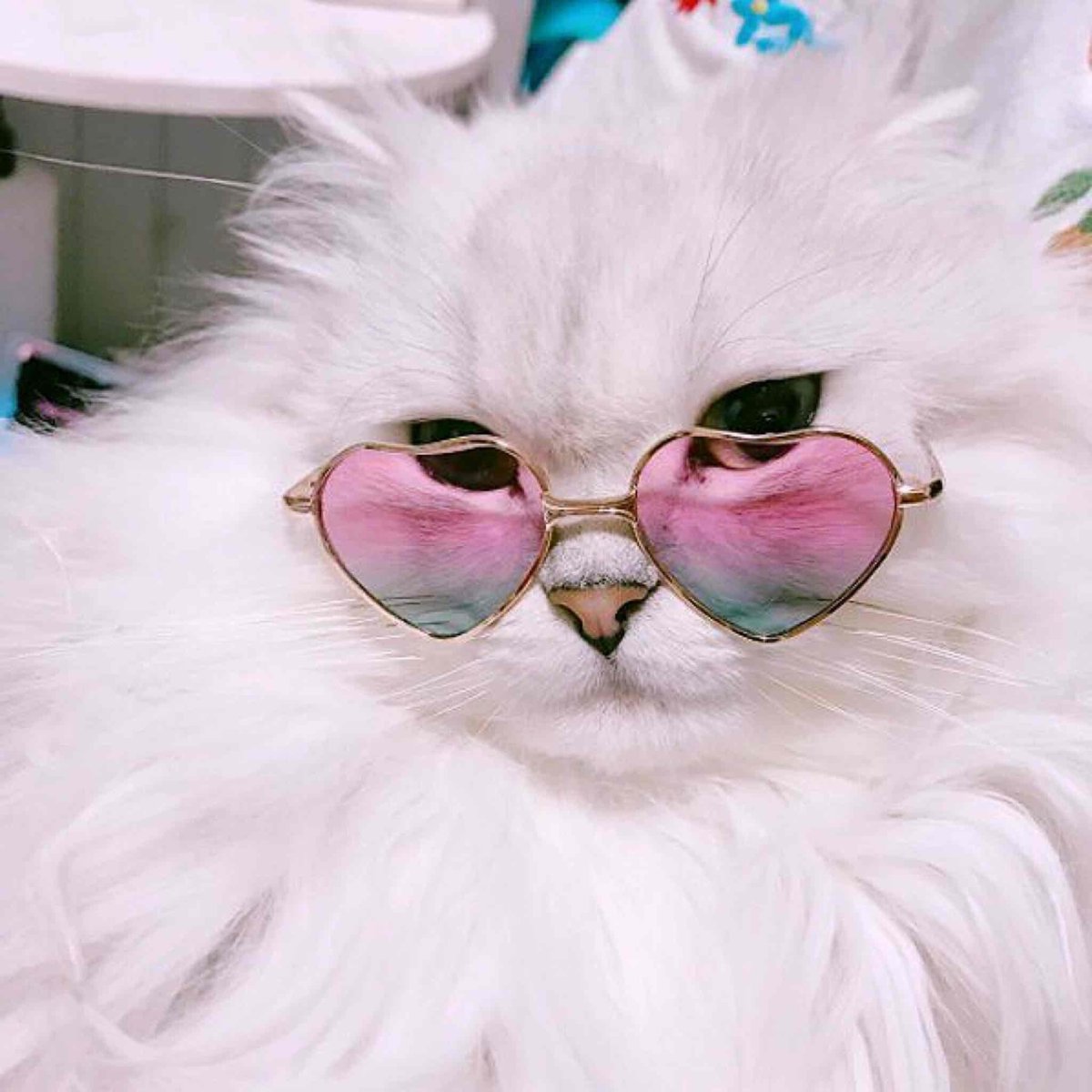 Мультяшный кот