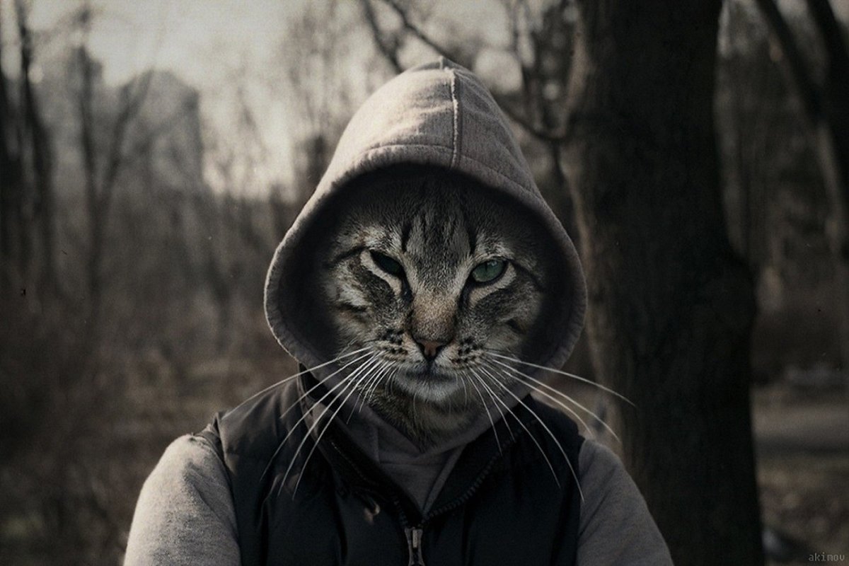 Лиза Фролова Сочи