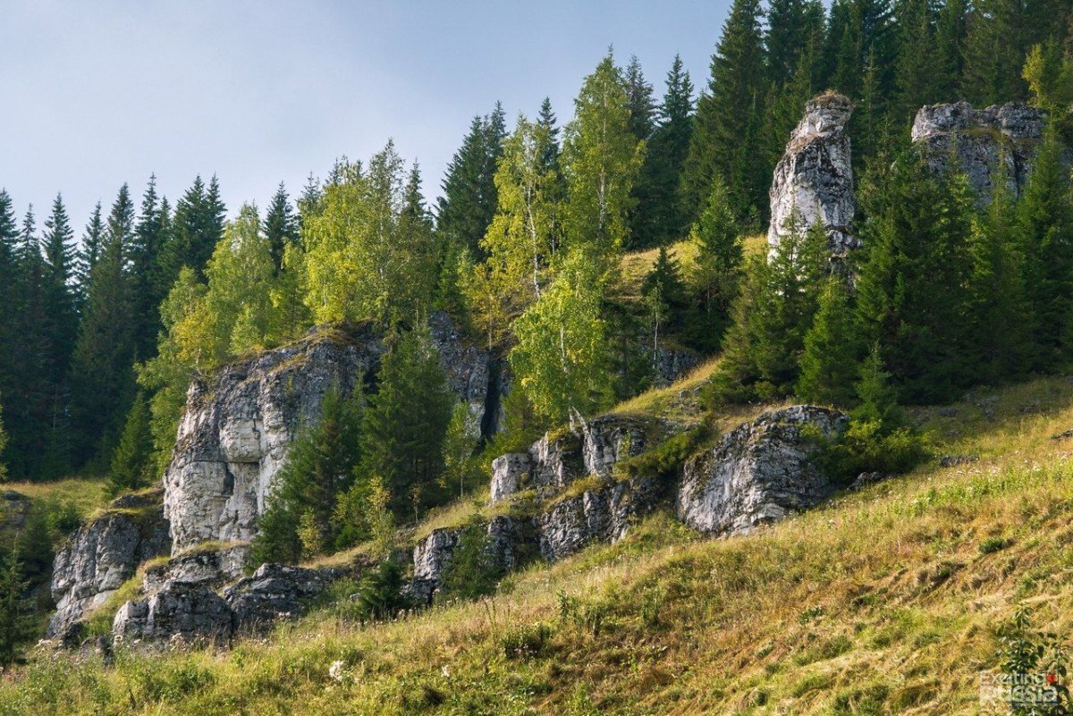 Валуны в лесу Пермский