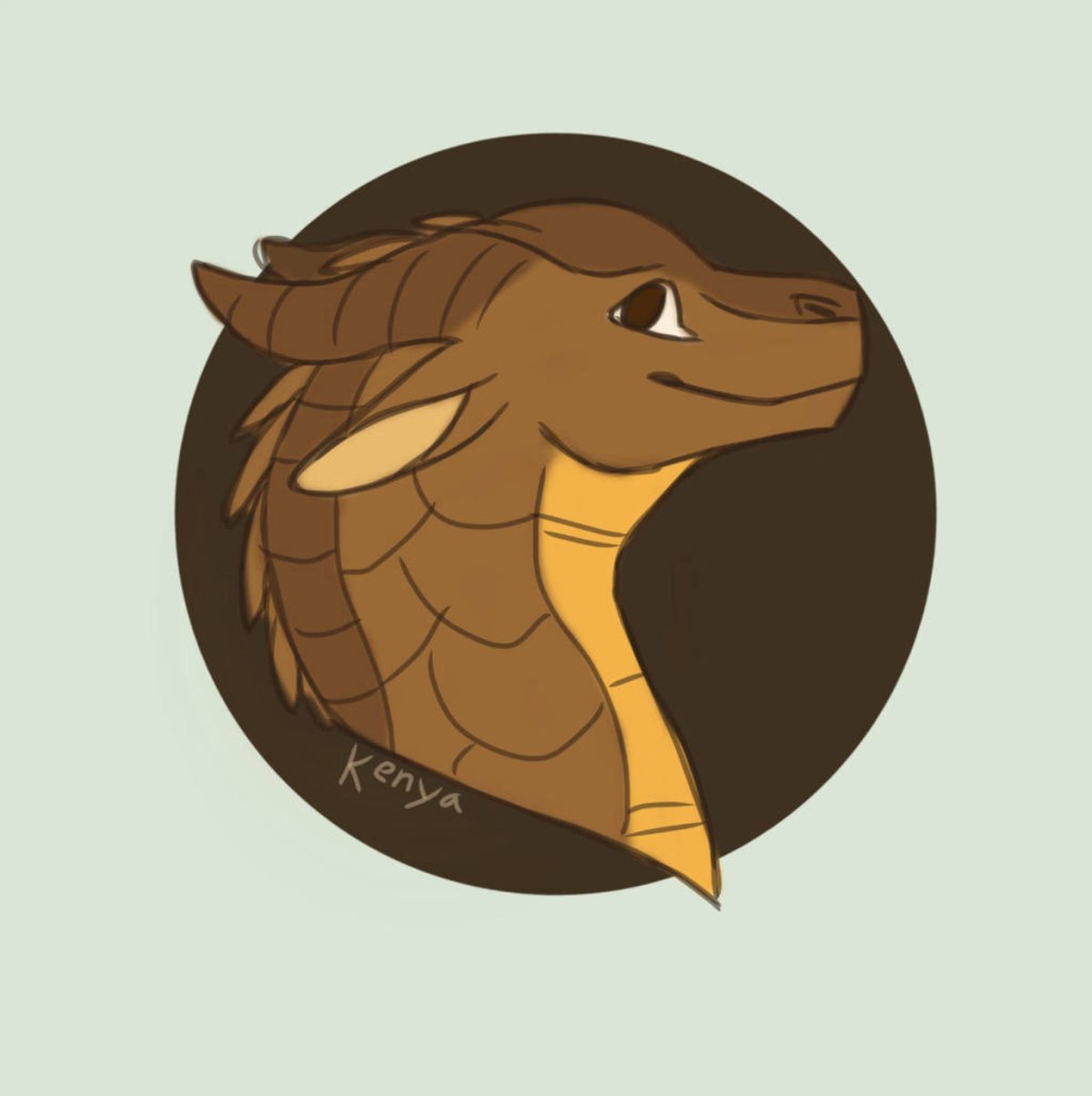 Драконья сага референсы ночных