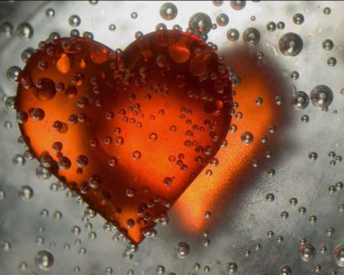 Спасибо Золотая рыбка