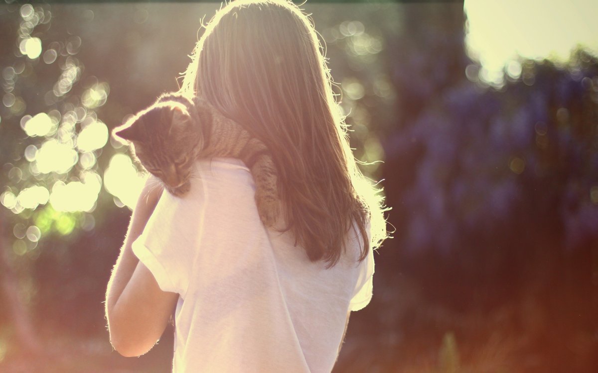 Девушка шатенка со спины