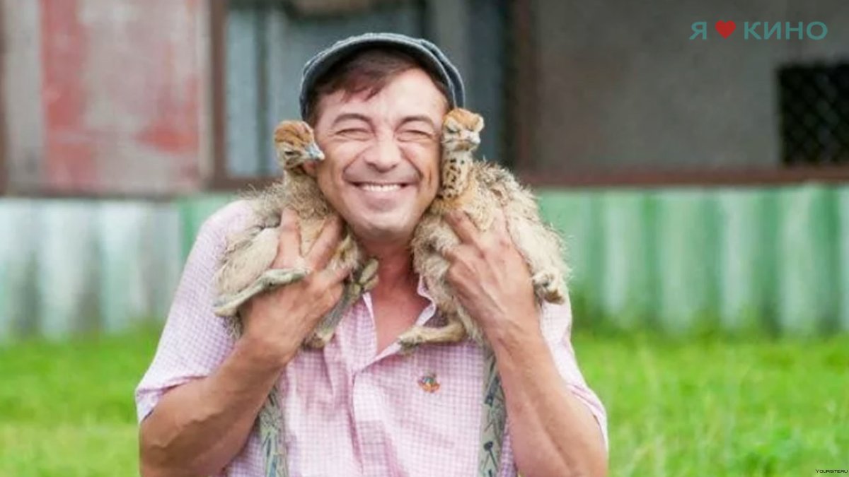 Сваты приколы