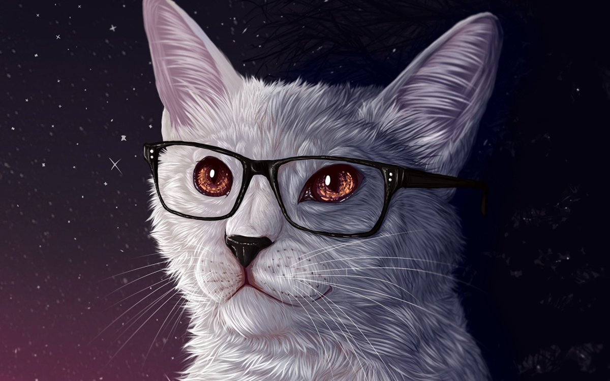 Кот в очках и костюме
