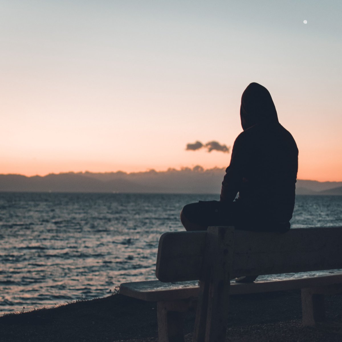 Выстрел в голову бабочки