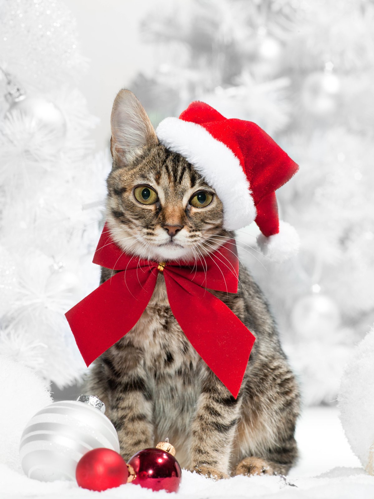 Новогодние картинки