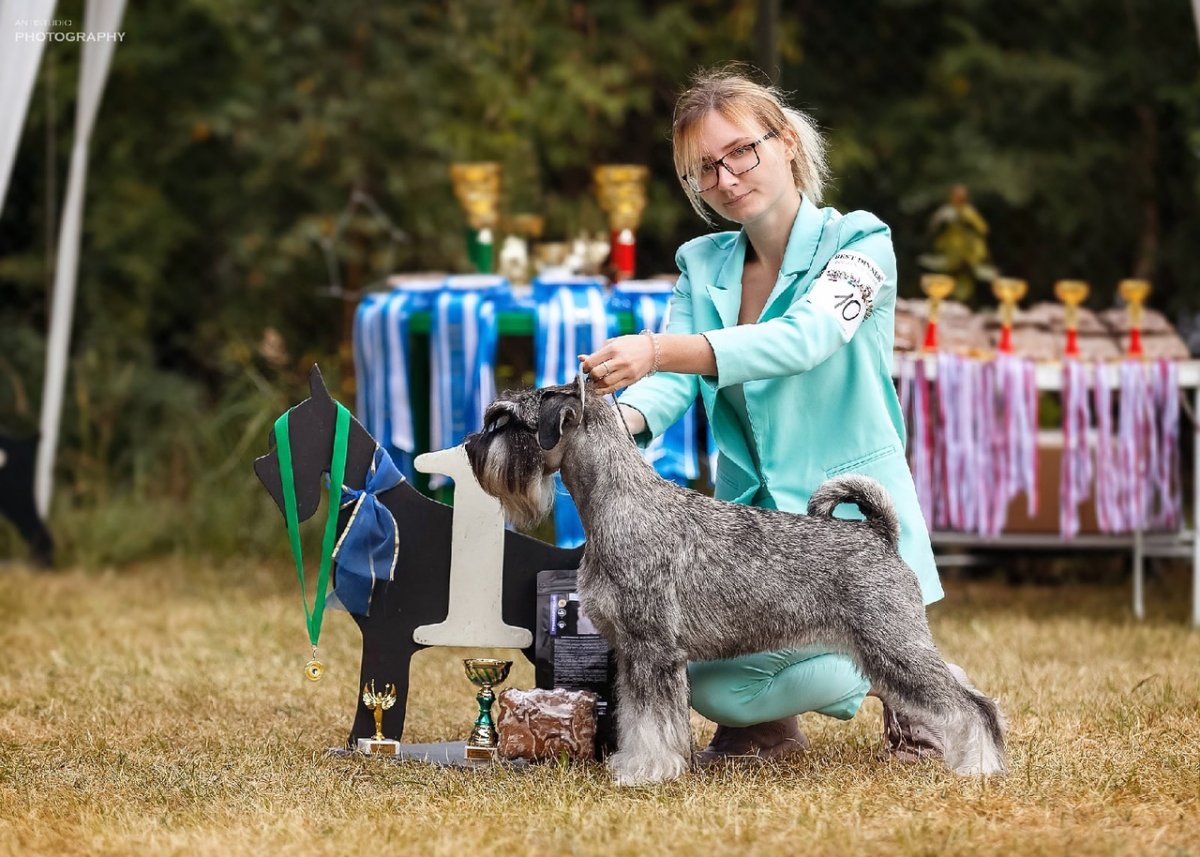 Сайт питомника из града Катерины Екатеринбург