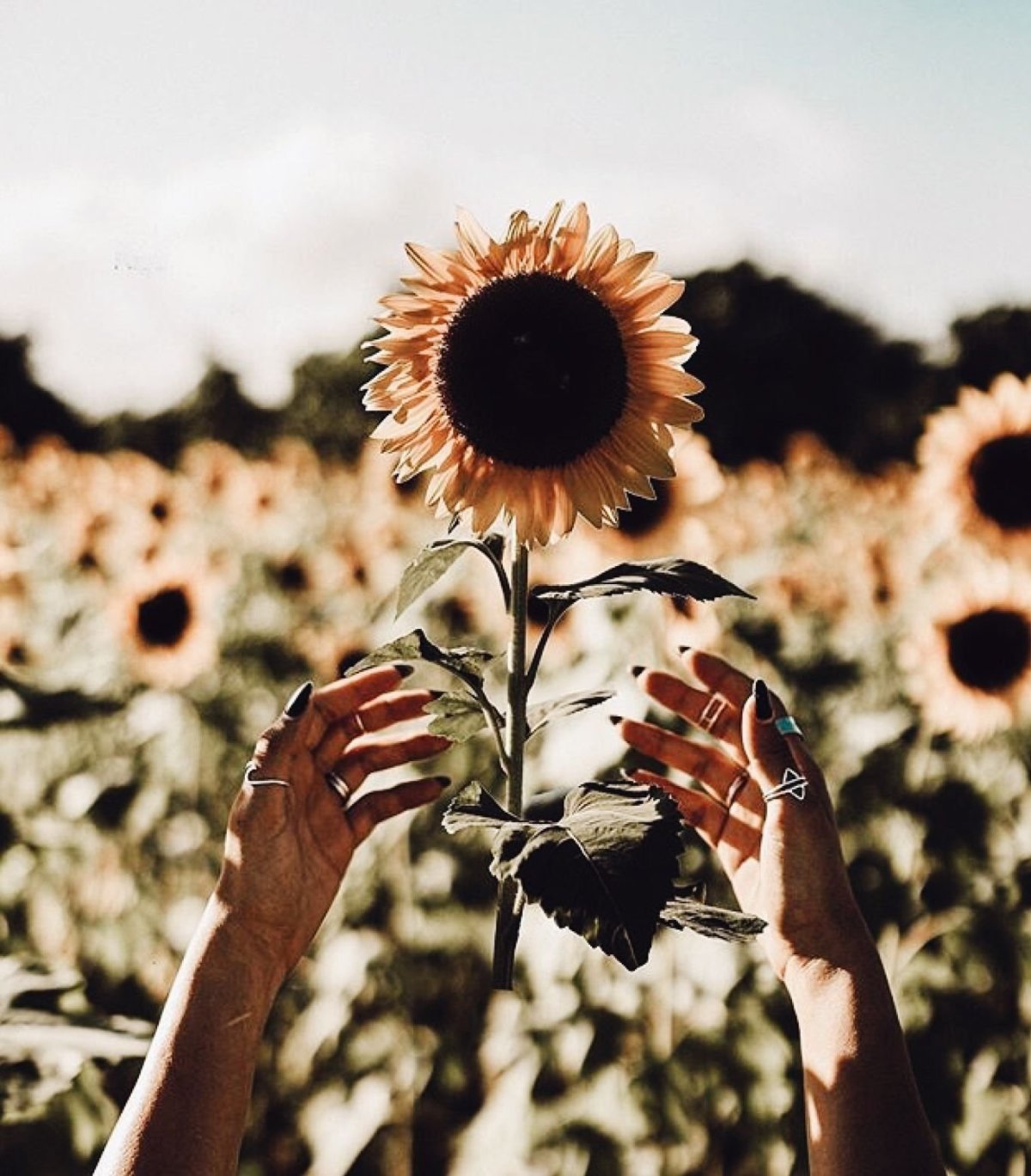 Авы из пинтереста