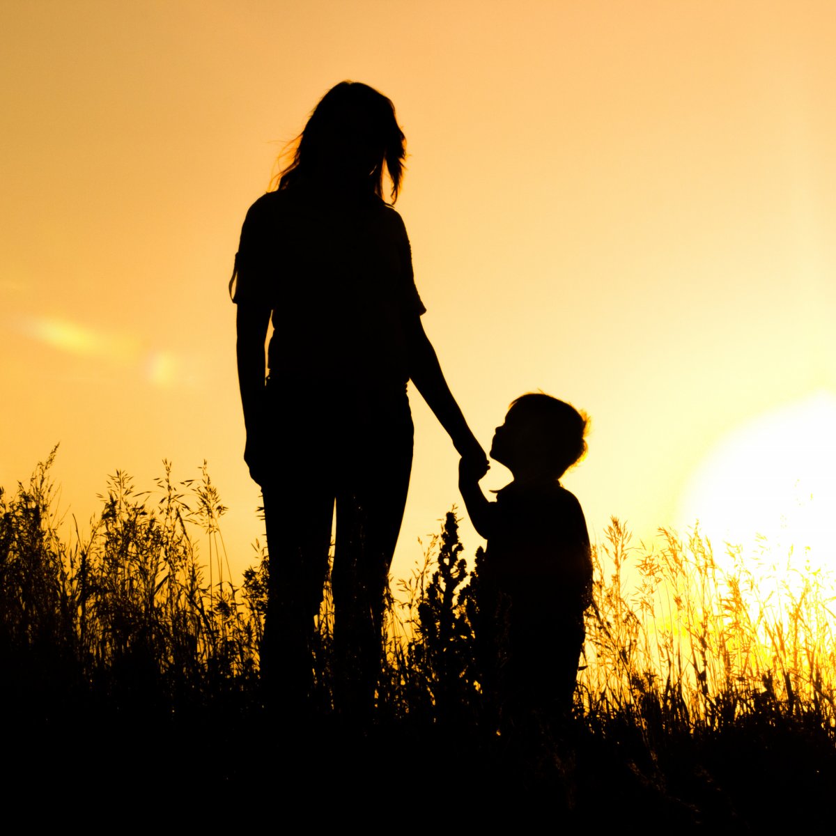 Анжелика Вильмова