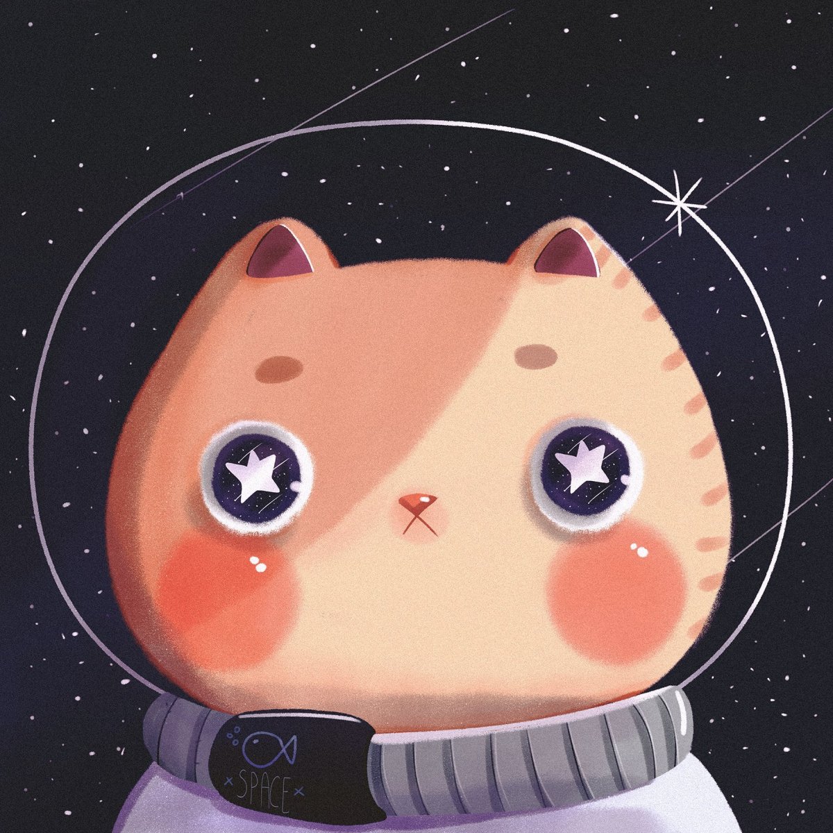 Котик показывает 4