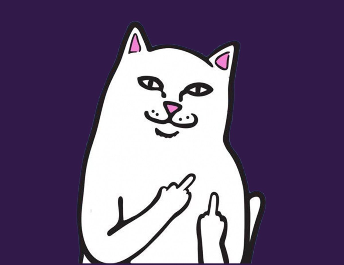 Черный Пушистик